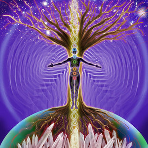 Quantum Soul Embodiment 60 Minute Session